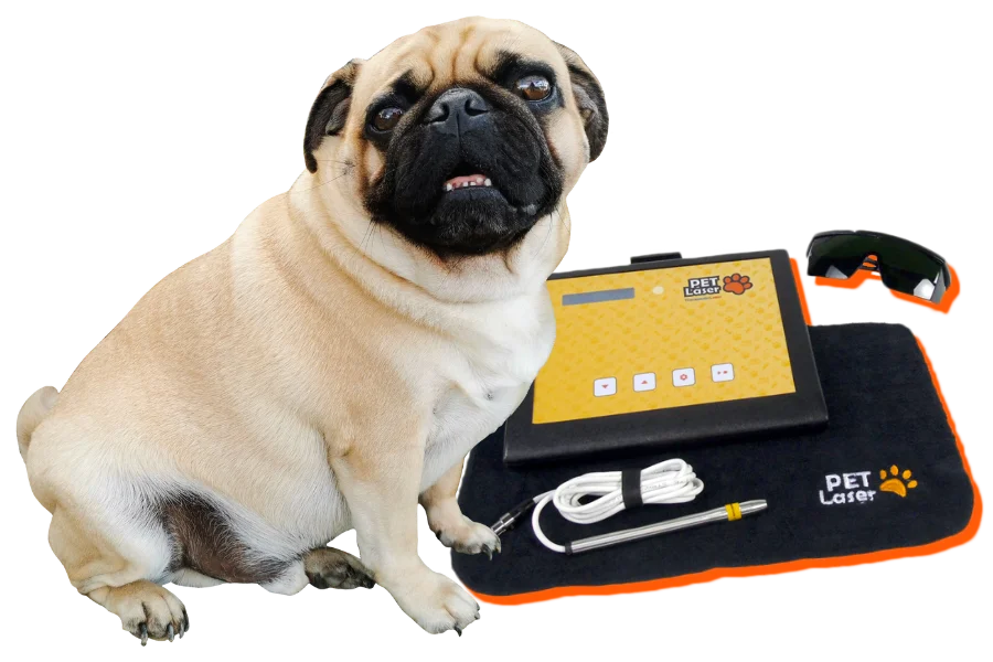 PetLaser Láser terapéutico vererinario pet laser para animales